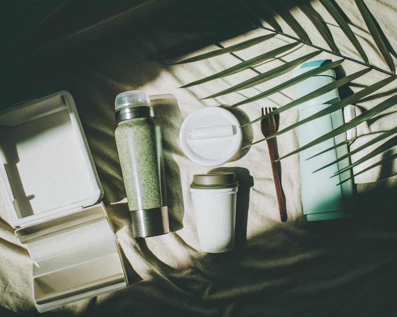 Flat lay of compostable packaging products — clamshell boxes, cups, straws, utensils, and bottles